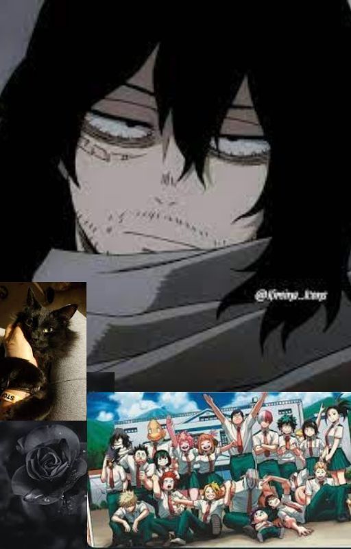 Dadzawa and Y/N by TeddyBear121010