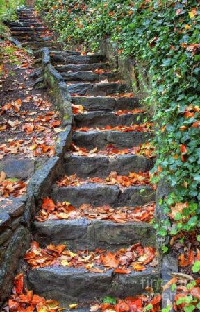 One Step At A Time by Dreana_writes_now
