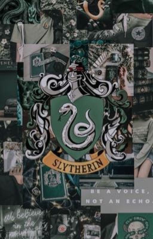 The Slytherin King by RogenJamesCarter