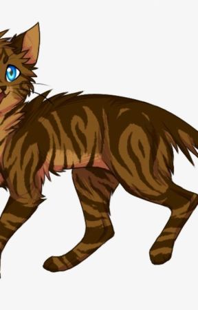 Warrior Cats Fanfic - Corrupted Hearts - Book 1 - Danger Lurks by NekoFromTheFarm