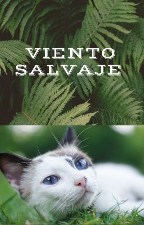 VIENTO SALVAJE- Los gatos guerreros by Nora12hogwarts