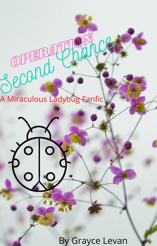 Operation Second Chance di graycesstories