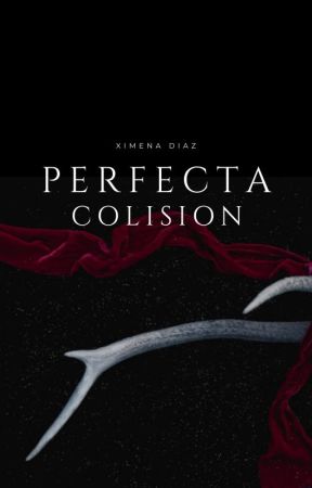PERFECTA COLISION (en proceso) ni XimenaDiazpsyc