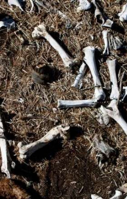 Bones in the Backyard by Vinceleo029