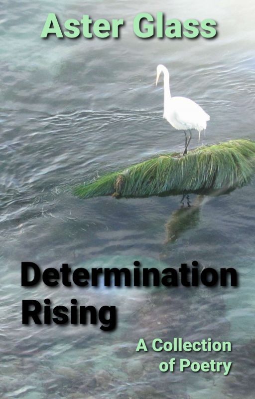 Determination Rising: A Collection of Poems by AsterGlass713