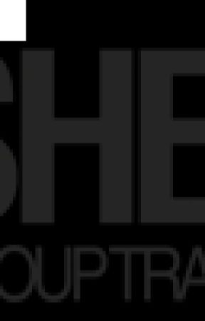 The Shearin Group Leadership Training Tips by aulielncstr08