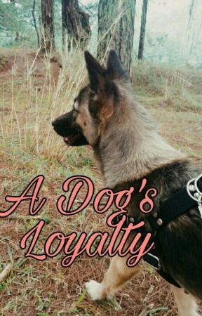 A Dog's Loyalty  by brielguzman