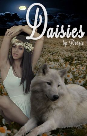 Daisies بقلم Deizies