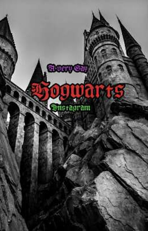 Hogwarts 8th Year Instagram (Discontinued) by purrgayyy