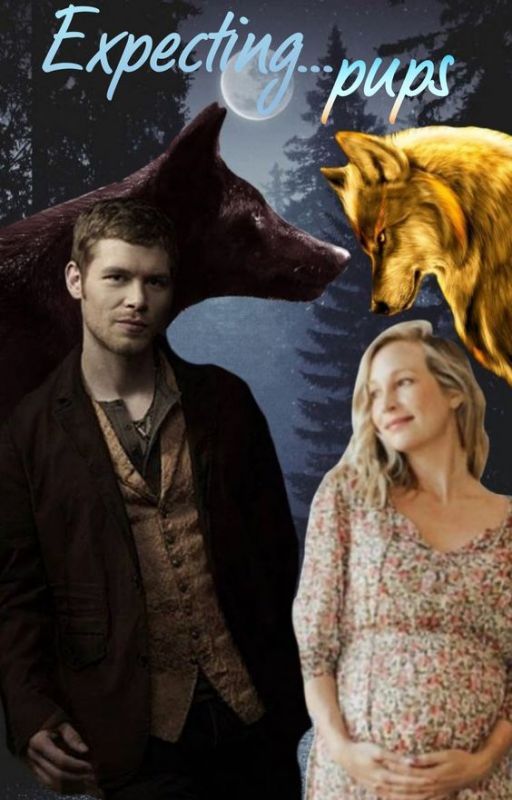 Expecting... Pups {Klaus Mikaelson x Caroline Forbes} by anime-lover-1127