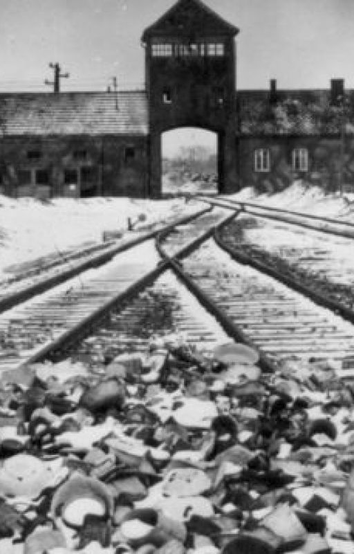 Terminus Auschwitz by oceanne02021999