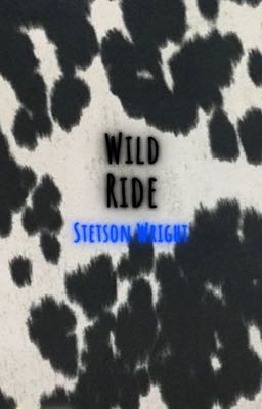 Wild ride - Stetson Wright by -MERXCURY-