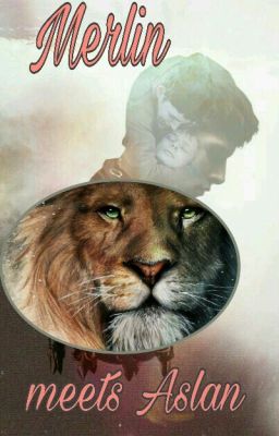 Aslan Stories - Wattpad