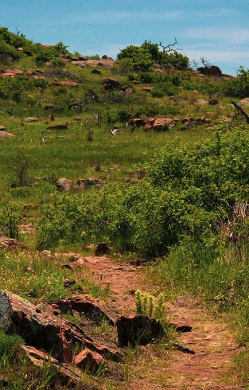 What Should a Topographical Survey Tulsa Include? by sisemoreassociates
