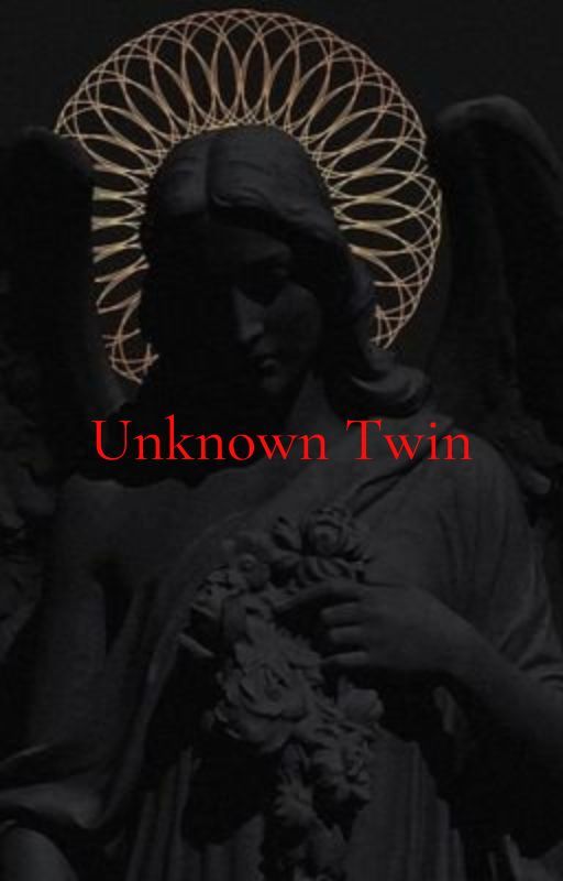 Unknown Twin by strawberryyyyymilk