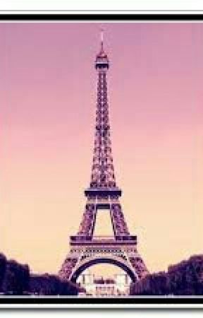 UN DIARIO EN PARIS от lucya2807