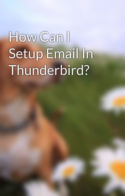 How Can I Setup Email In Thunderbird? by thunderbirdmails