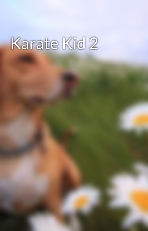 Karate Kid 2 by Eiji692