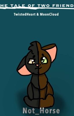 The Zodiac Warrior Cats - 2 Taurus 2 - Wattpad