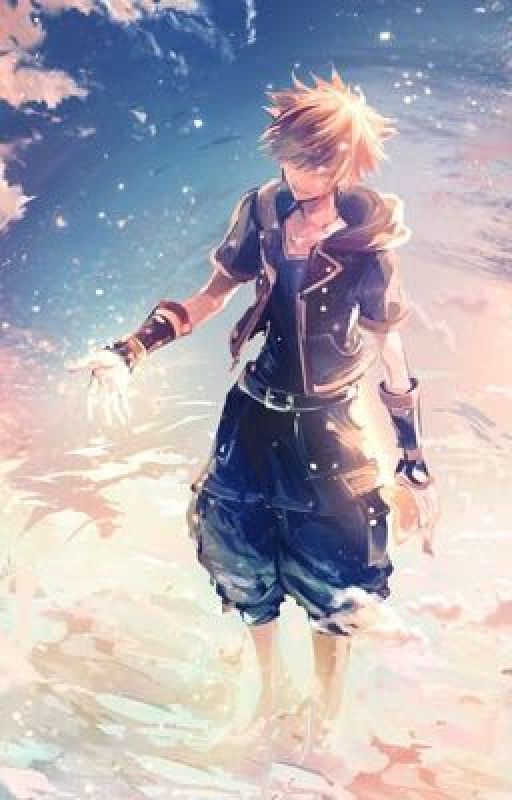 Kingdom hearts : Hollow hearts by SarahThenshi