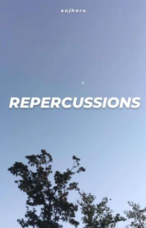 Repercussions de snglplmz