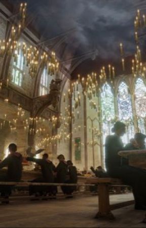 The Potter Legacy de welizabeth67