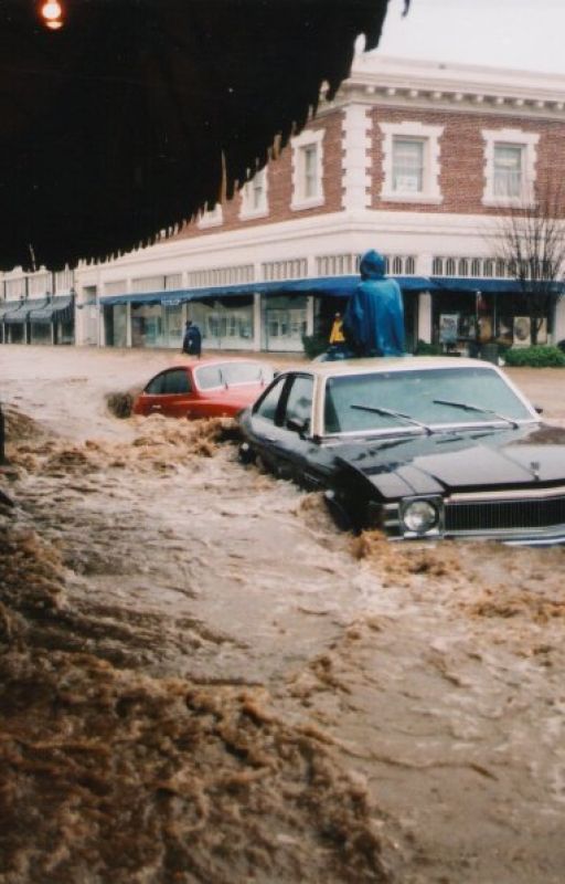 The Great Marin Flood of 2005 by philserve