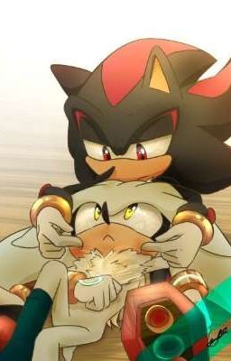 A Sonic Shadow And Silver Fan-Fiction - Starfur795 - Wattpad