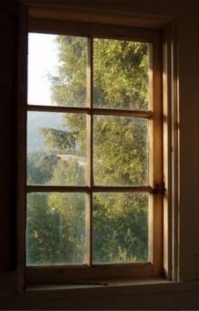 Birds at My Window by marleyknighting