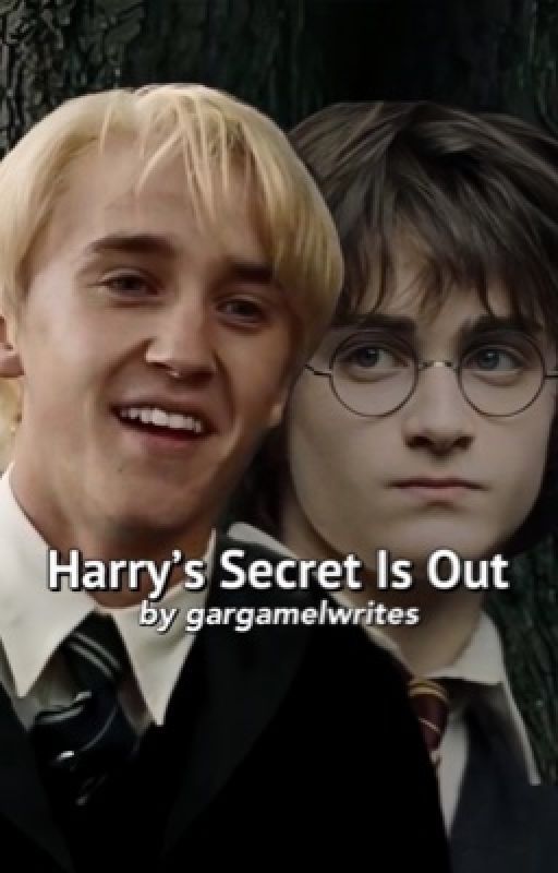 Harry's Secret Is Out by papasmurfwrites