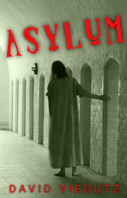 Asylum (A short horror story that packs a punch) by davidviergutz
