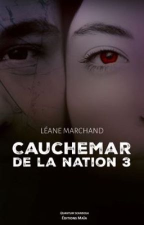 Cauchemar de la Nation 3  by leanemarchand45