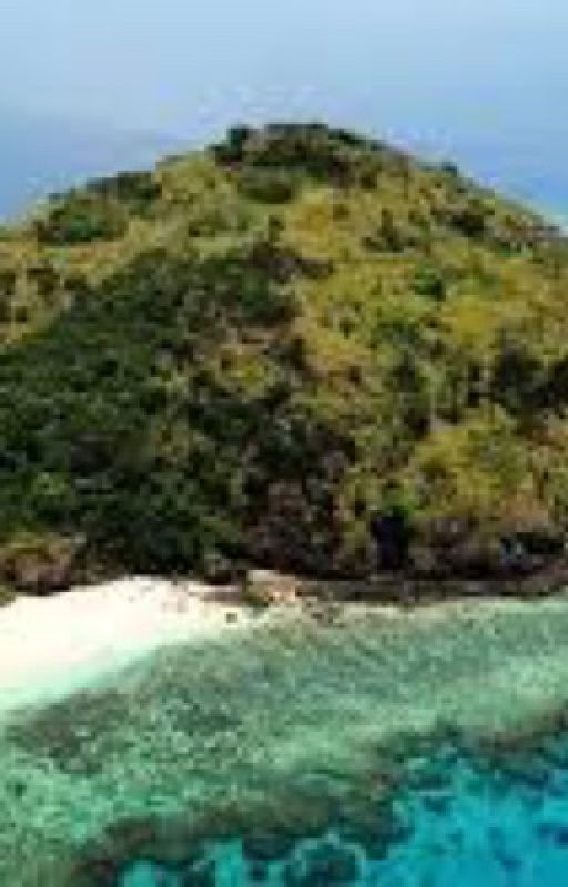 Table Island بقلم ARainDragon