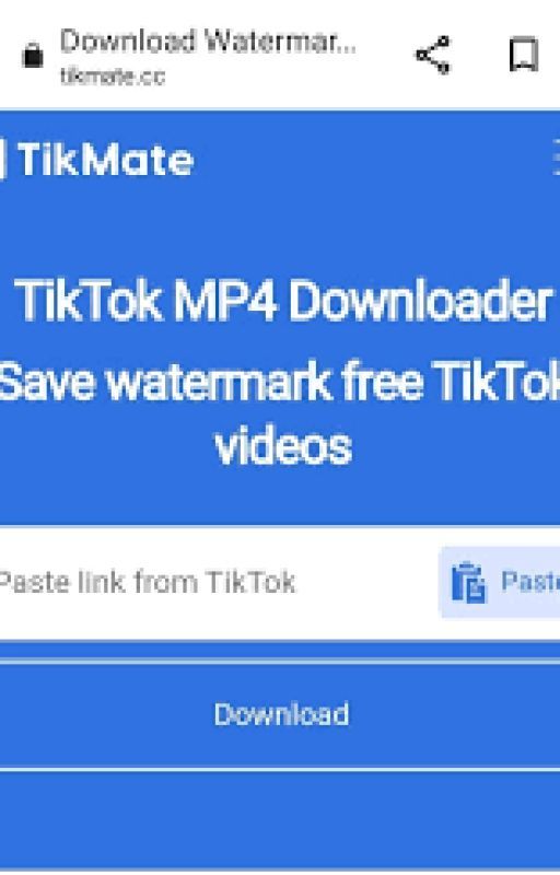 تحويل مقاطع فيديو TikTok إلى MP4 by astiun786