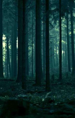 The Dark Forest by Mizuki_K