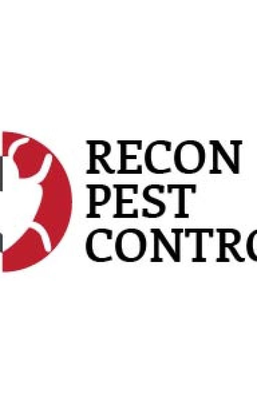 Expert Possum Removal Services in Melbourne: A Guide to Protecting Your Property by melbournepestcontrol