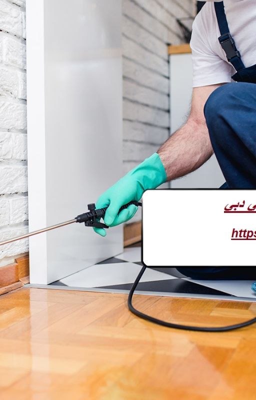 تعمل شركة مكافحة حشرات فى دبى بقلم hamsatclean