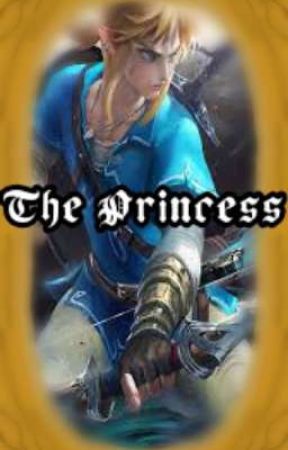 The Princess - Legend Of Zelda BOTW by AshyG67