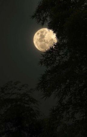 Cuando No Puedes Dormir by GataFanDeLosPerros