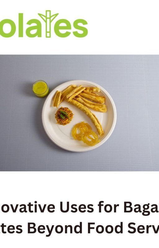 Innovative Uses for Bagasse Plates Beyond Food Service by Ecolates