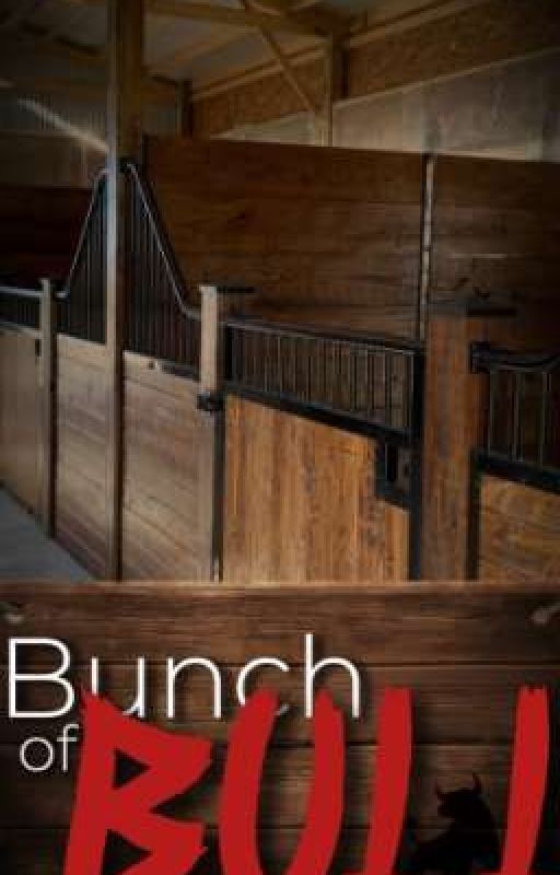Bunch of Bull by Th3M4k3r