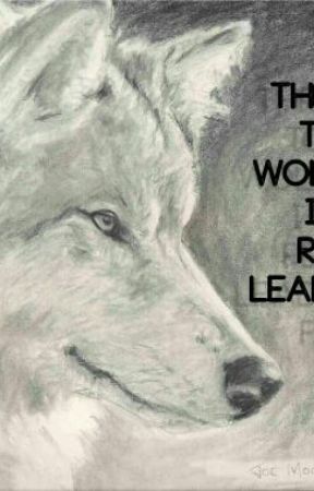Run to the Wolves by Readislife11