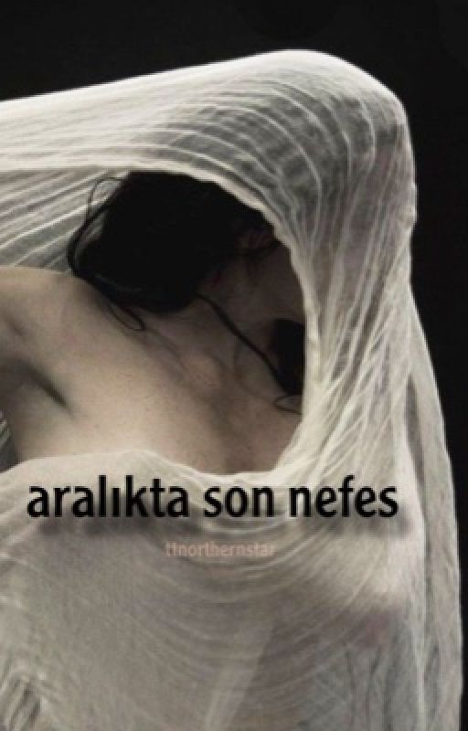 kissmeintallinn tarafından yazılan aralıkta son nefes adlı hikaye
