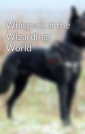 Whispers of the Wizarding World by FanfictionMe1998