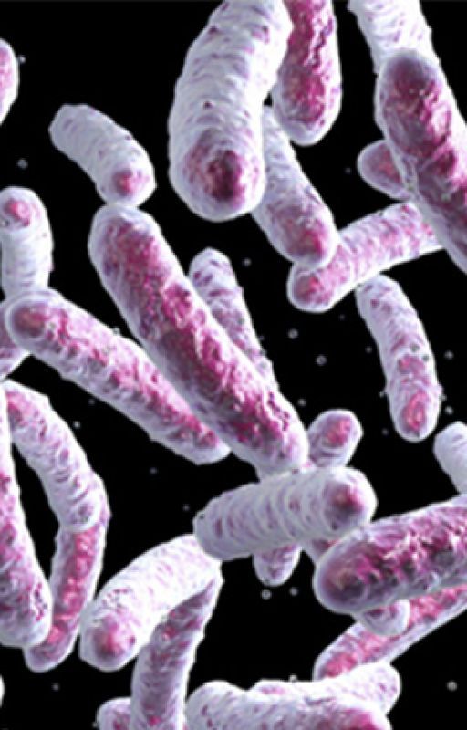 16s/18s/ITS Sequencing CapitalBio by capitalbiotechnology