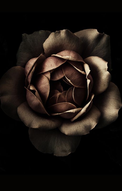 Wilting by lekelamon16
