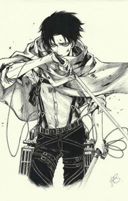 Levi x reader stories by lia_thebesttt