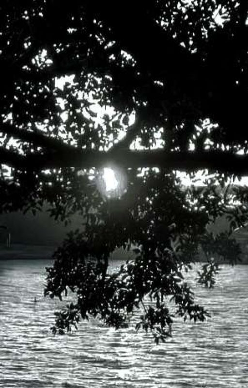 Ramble Of The Sun by Frazal