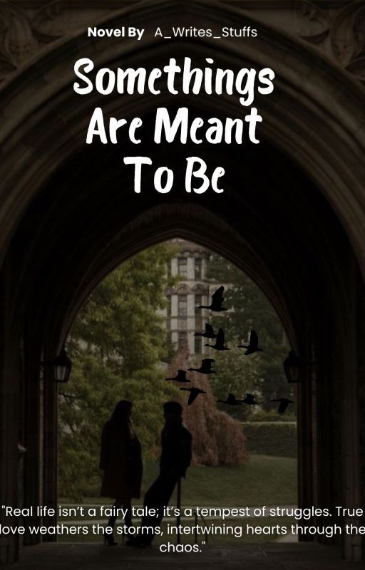 Somethings are Meant to Be by BL_FANGIRL_3000