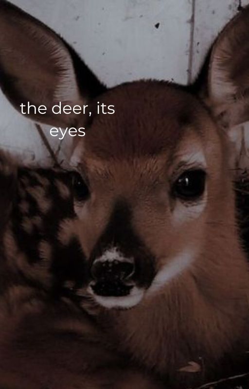 the deer, its eyes by haiiiiiiiiikiwi